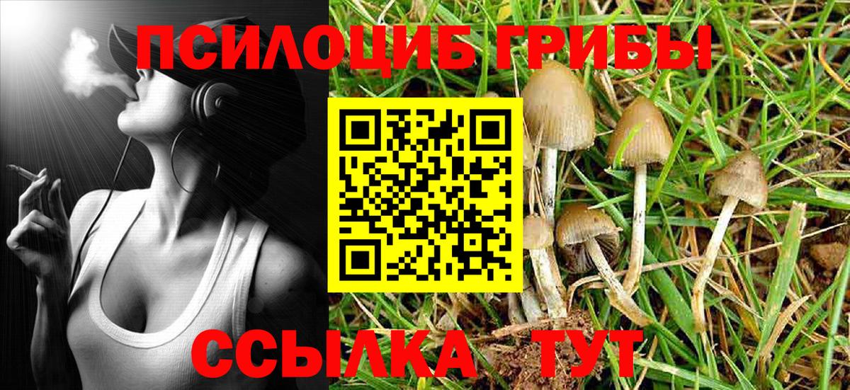 Галлюциногенные грибы Cubensis Тулун