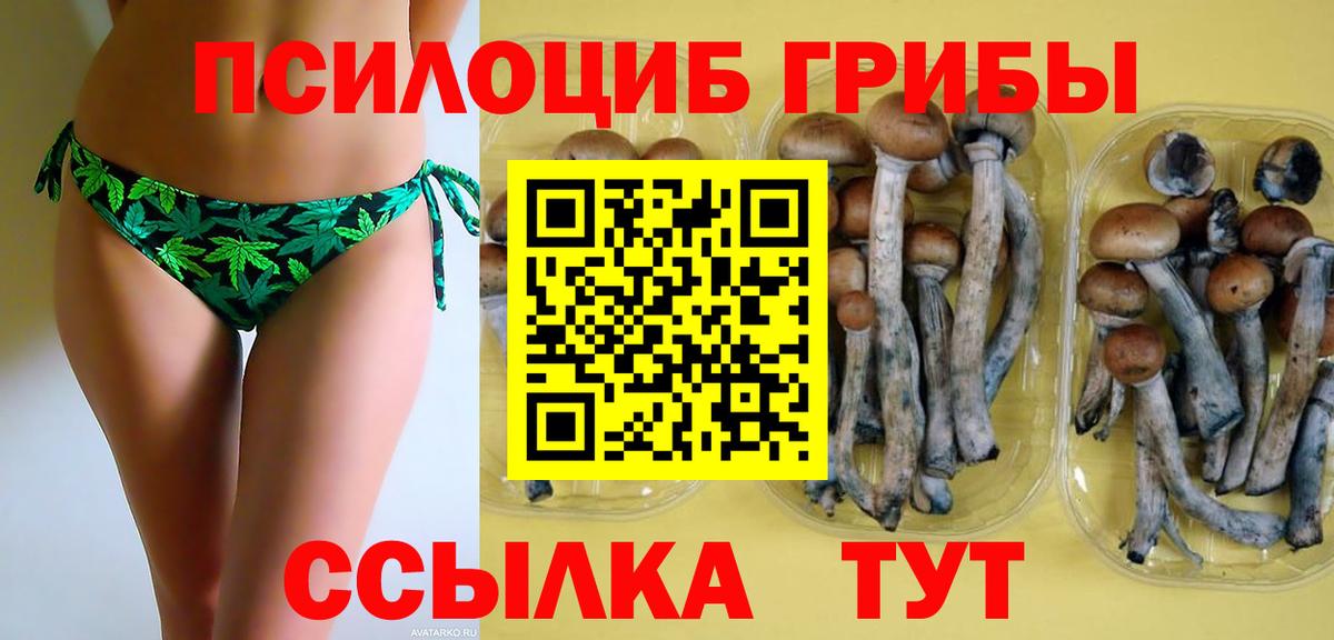 Тулун  Псилоцибиновые грибы ЛСД  Вход с VPN 